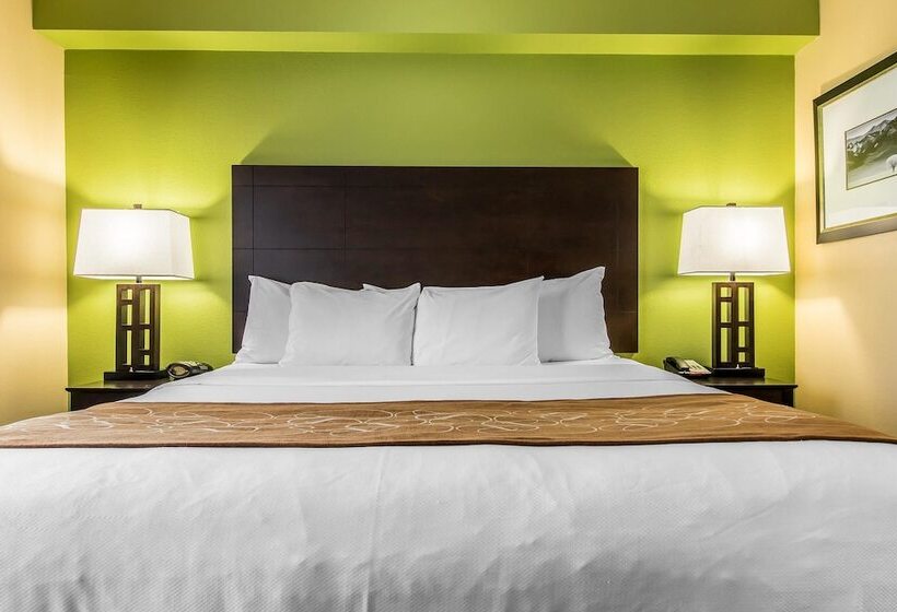 سوییت, Comfort Suites Jackson I 40