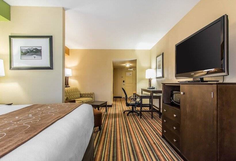 Suite, Comfort Suites Jackson I40