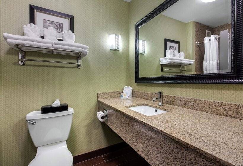 Suite Adapted for people with reduced mobility, Comfort Suites Jackson I40