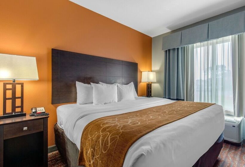 Suite Adaptada para personas con movilidad reducida, Comfort Suites Jackson I40