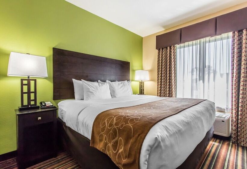 Suite Adaptée aux Personnes à Mobilité Réduite, Comfort Suites Jackson I40