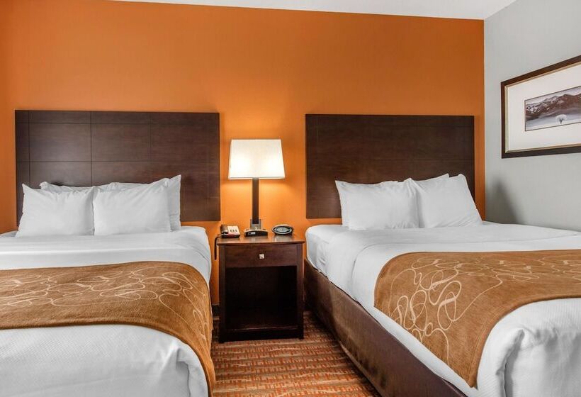 Suite Adaptada para personas con movilidad reducida, Comfort Suites Jackson I40