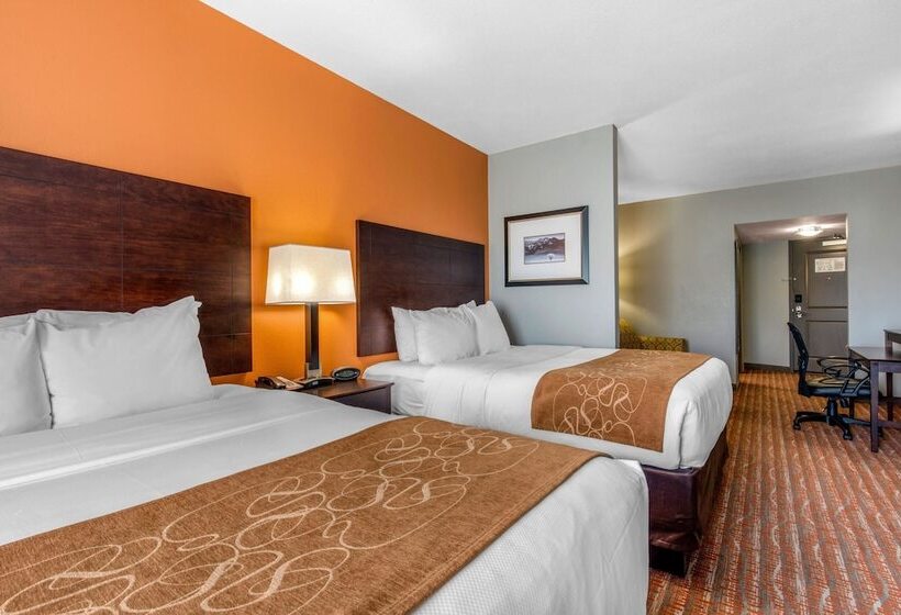 Suite Adaptada para personas con movilidad reducida, Comfort Suites Jackson I40