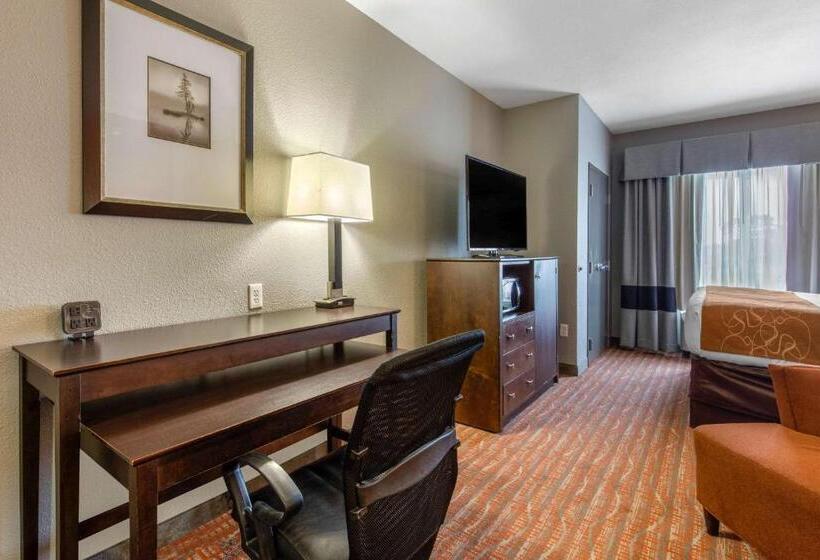 سوئیت با تخت بزرگ, Comfort Suites Jackson I40