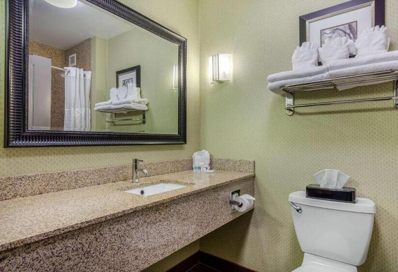 Suite Adapted for people with reduced mobility, Comfort Suites Jackson I40