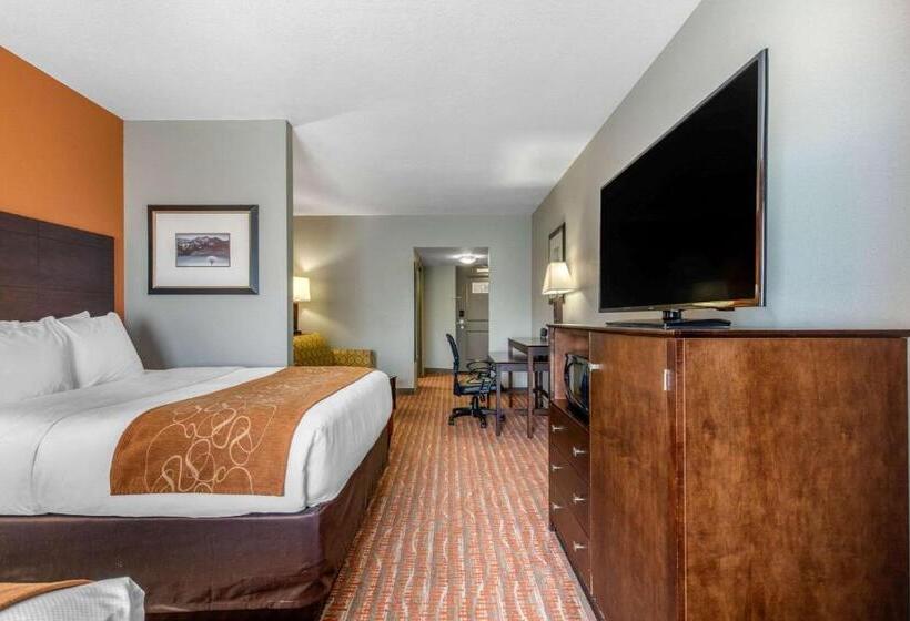 Suite Adaptée aux Personnes à Mobilité Réduite, Comfort Suites Jackson I40