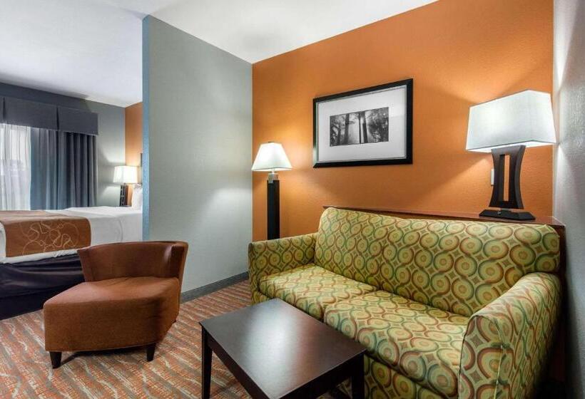 Suite Adapted for people with reduced mobility, Comfort Suites Jackson I40