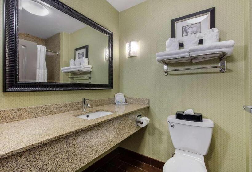 Suite Adapted for people with reduced mobility, Comfort Suites Jackson I40