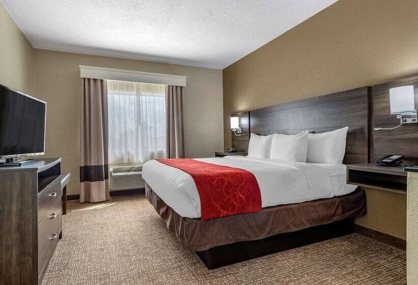 سوییت, Comfort Suites Near Robins Air Force Base