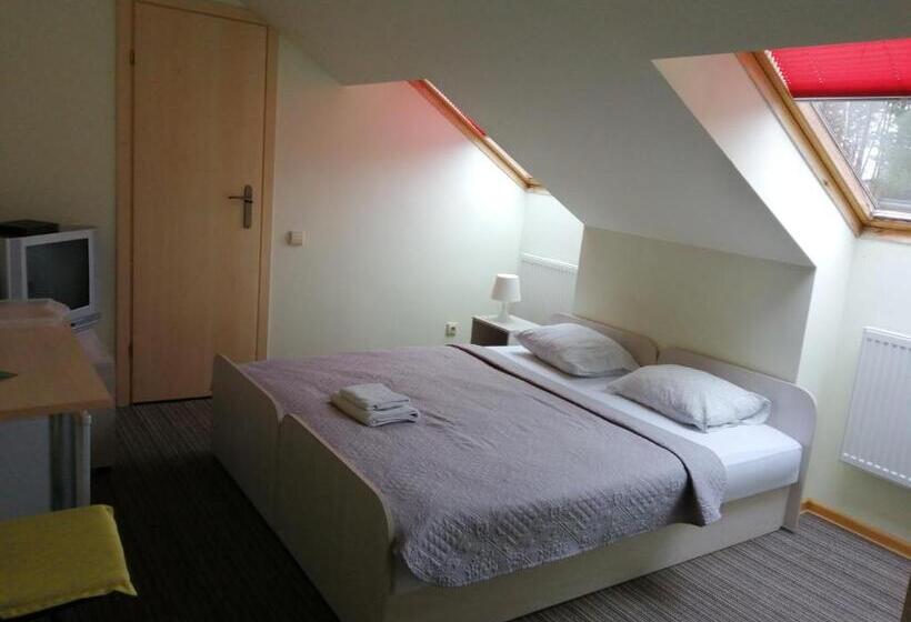 اتاق اکونومی یک تخته, Idilė Bed & Breakfast   Visaginas