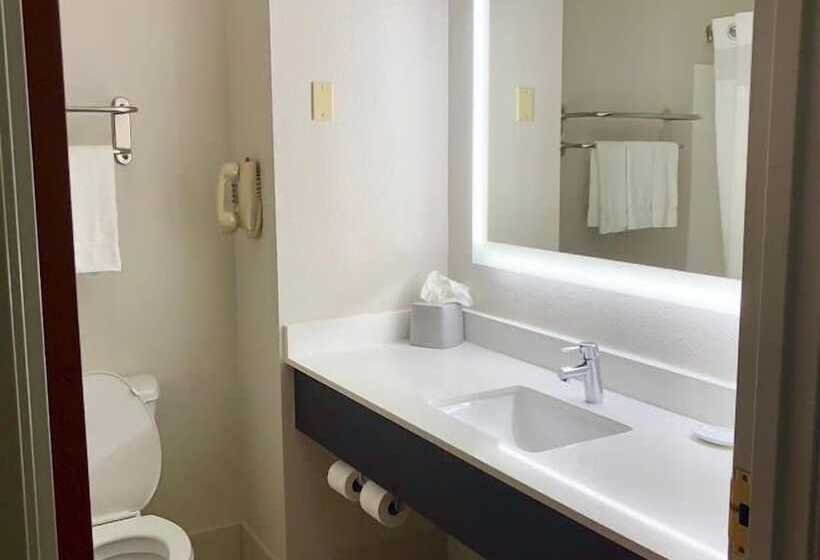 اتاق استاندارد, Holiday Inn Express Hotel & Suites Decatur, Tx, An Ihg