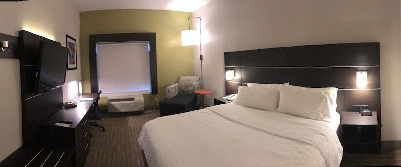 Quarto Estandar, Holiday Inn Express  & Suites Decatur, Tx