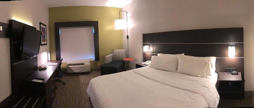 Quarto Estandar Cama King, Holiday Inn Express  & Suites Decatur, Tx