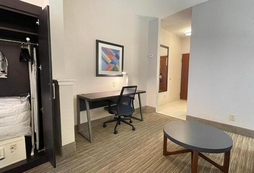 سوئیت با تخت بزرگ, Holiday Inn Express Hotel & Suites Decatur, Tx, An Ihg