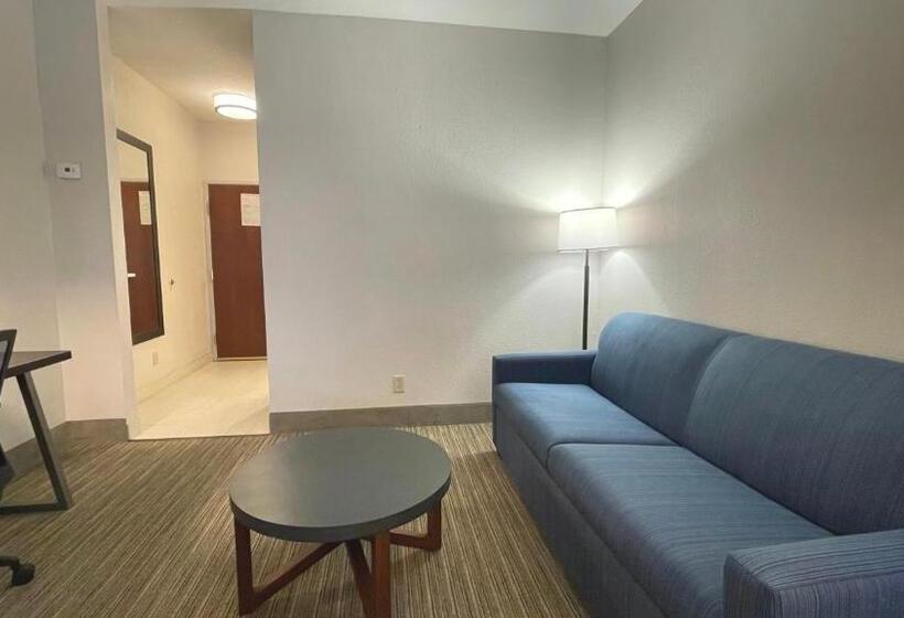 سوئیت با تخت بزرگ, Holiday Inn Express  & Suites Decatur, Tx