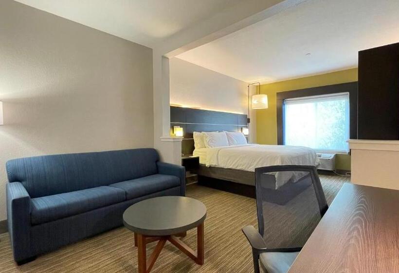 Suíte Cama King, Holiday Inn Express  & Suites Decatur, Tx