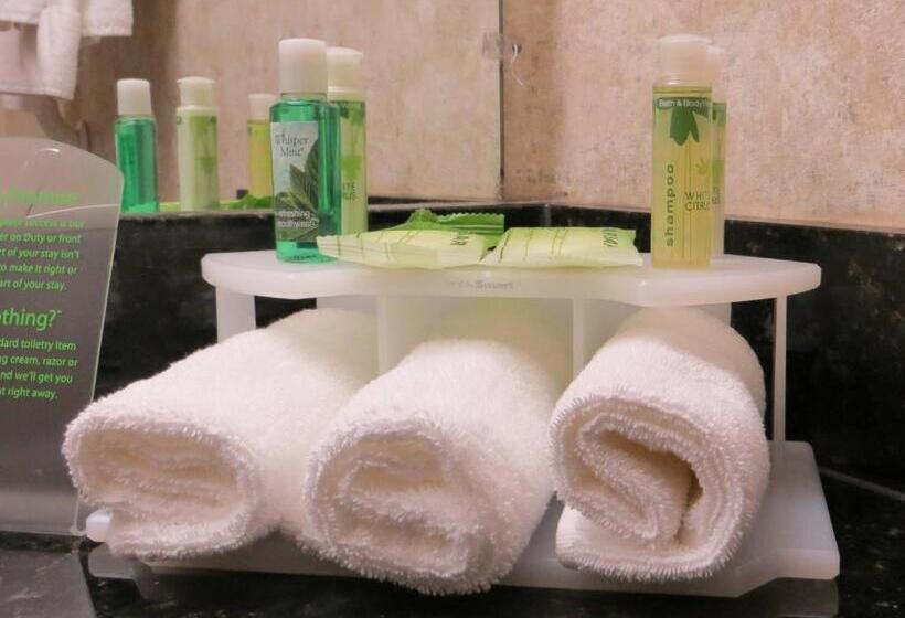 اتاق استاندارد با تخت بزرگ, Holiday Inn Express Hotel & Suites Decatur, Tx, An Ihg