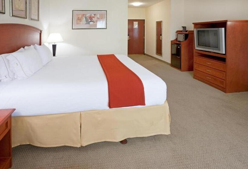 اتاق استاندارد با تخت بزرگ, Holiday Inn Express  & Suites Decatur, Tx