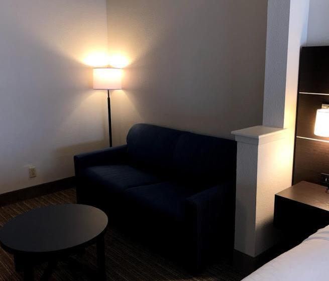 سوئیت برای معلولان, Holiday Inn Express  & Suites Decatur, Tx