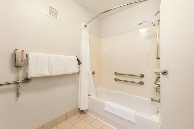 اتاق استاندارد با تخت بزرگ, Holiday Inn Express Hotel & Suites Decatur, Tx, An Ihg
