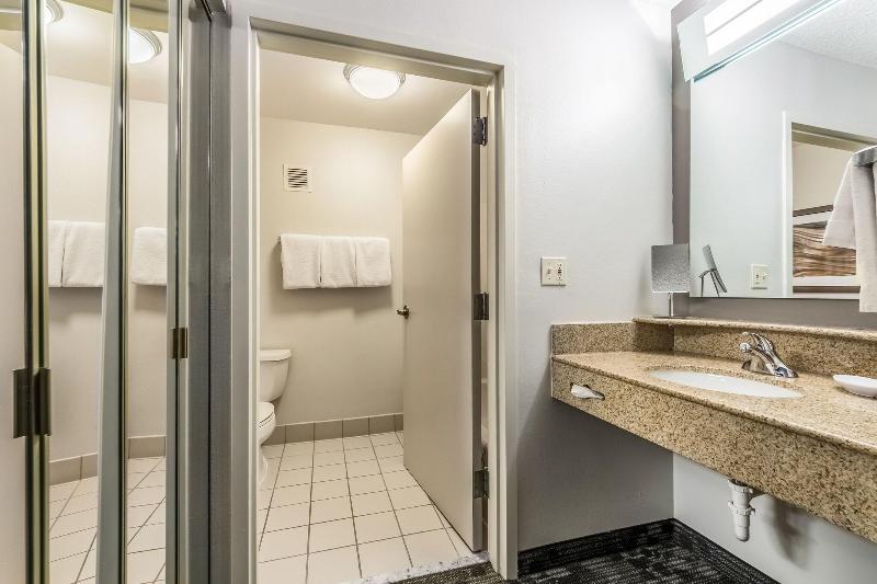 اتاق استاندارد با تخت بزرگ, Holiday Inn Express Hotel & Suites Decatur, Tx, An Ihg