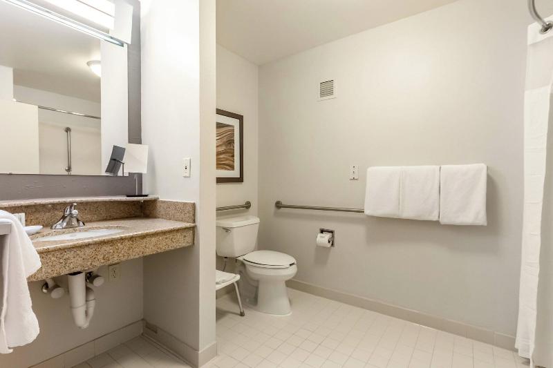 اتاق استاندارد با تخت بزرگ, Holiday Inn Express Hotel & Suites Decatur, Tx, An Ihg