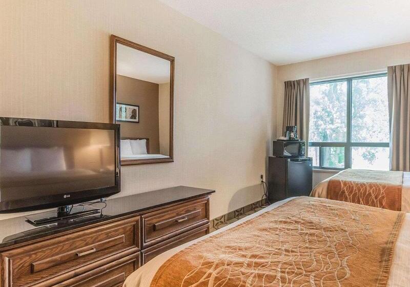 اتاق استاندارد, Holiday Inn Express Hotel & Suites Decatur, Tx, An Ihg