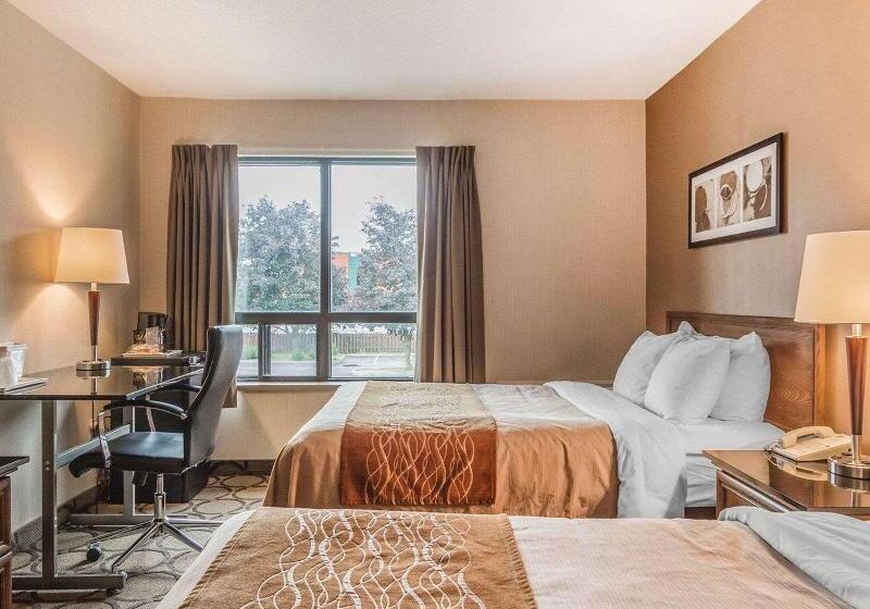 اتاق استاندارد, Holiday Inn Express Hotel & Suites Decatur, Tx, An Ihg