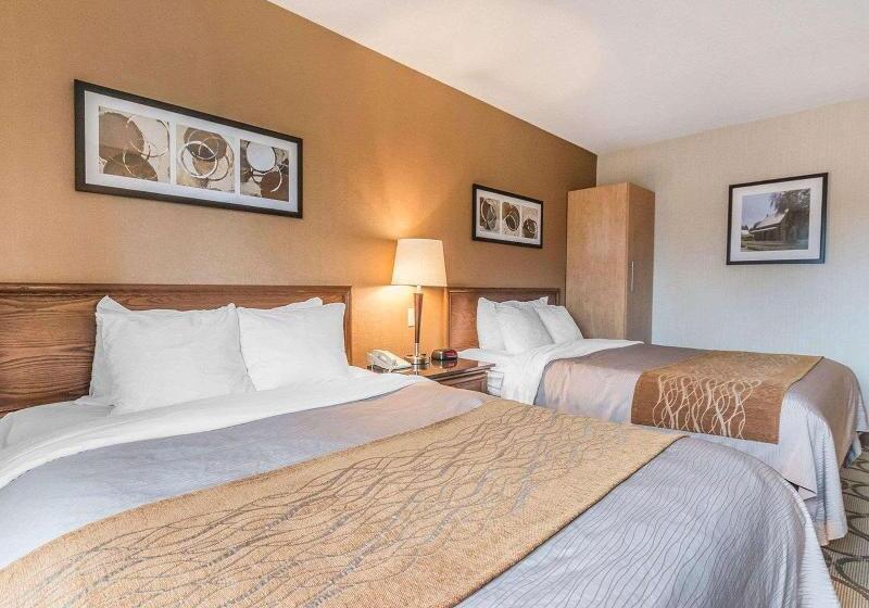 اتاق استاندارد, Holiday Inn Express Hotel & Suites Decatur, Tx, An Ihg