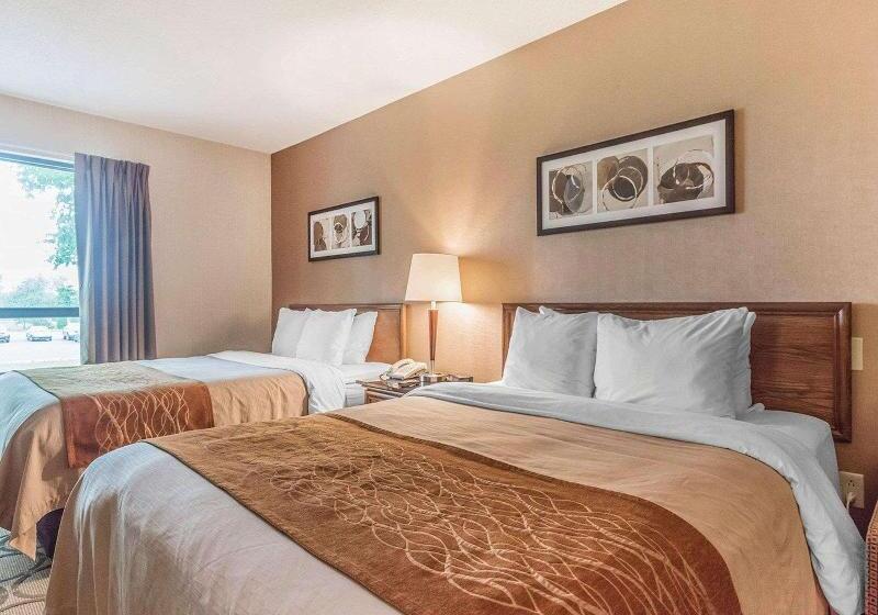اتاق استاندارد, Holiday Inn Express Hotel & Suites Decatur, Tx, An Ihg