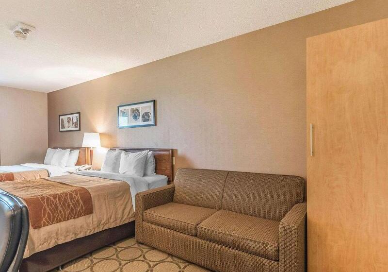 اتاق استاندارد, Holiday Inn Express Hotel & Suites Decatur, Tx, An Ihg