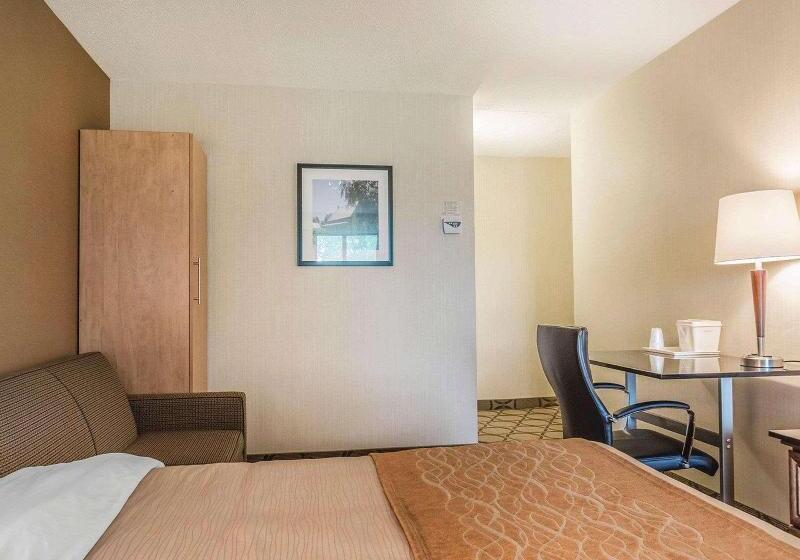 اتاق استاندارد, Holiday Inn Express Hotel & Suites Decatur, Tx, An Ihg