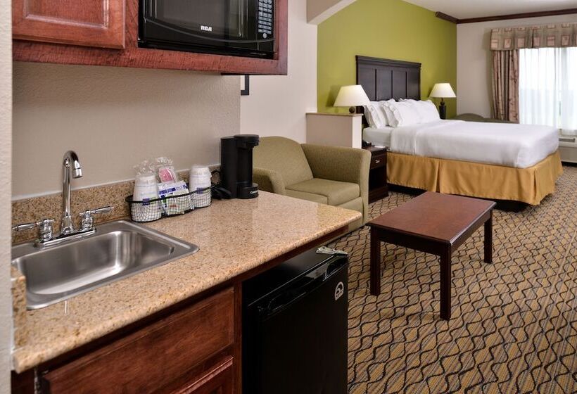 Suite, Holiday Inn Express  & Suites Sherman Highway 75