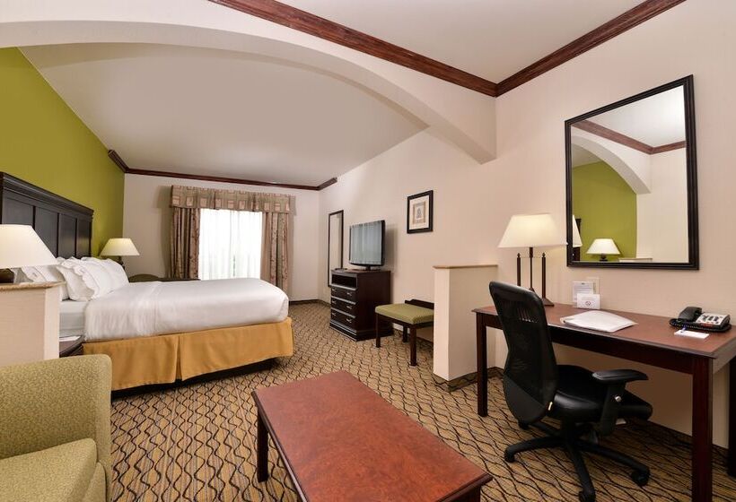 Suite Adapted for people with reduced mobility, Holiday Inn Express  & Suites Sherman Highway 75