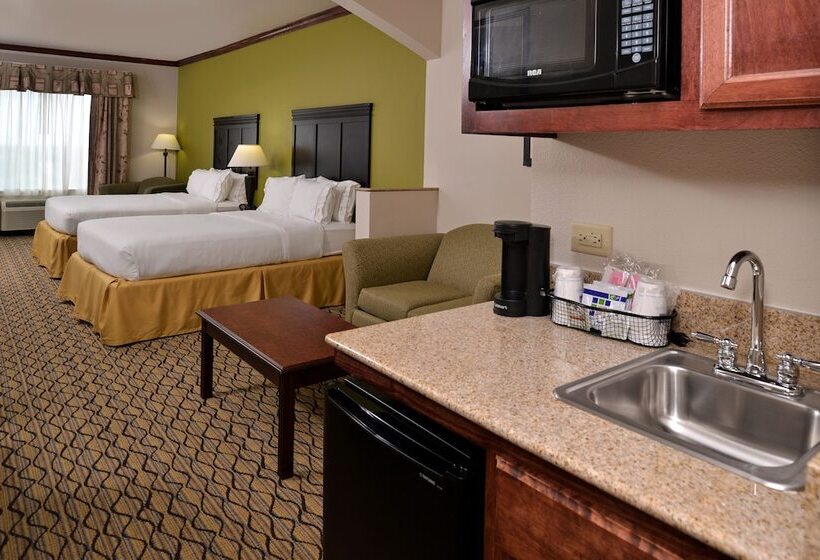 Suite Adapted for people with reduced mobility, Holiday Inn Express  & Suites Sherman Highway 75