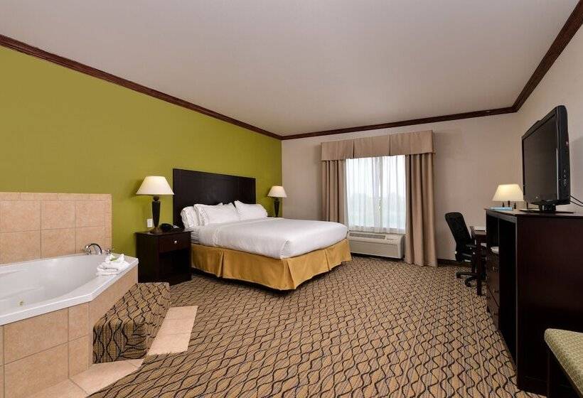 Suite, Holiday Inn Express  & Suites Sherman Highway 75