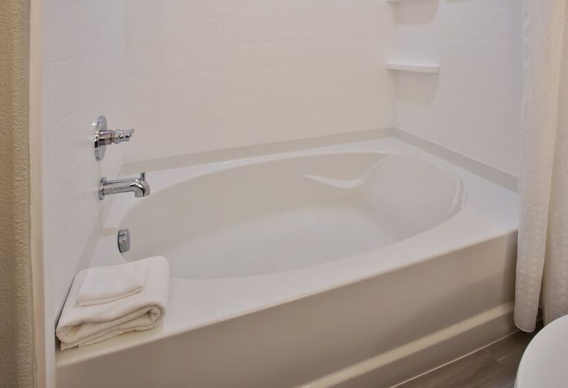 سوییت, Holiday Inn Express Hotel And Suites Katy, An Ihg
