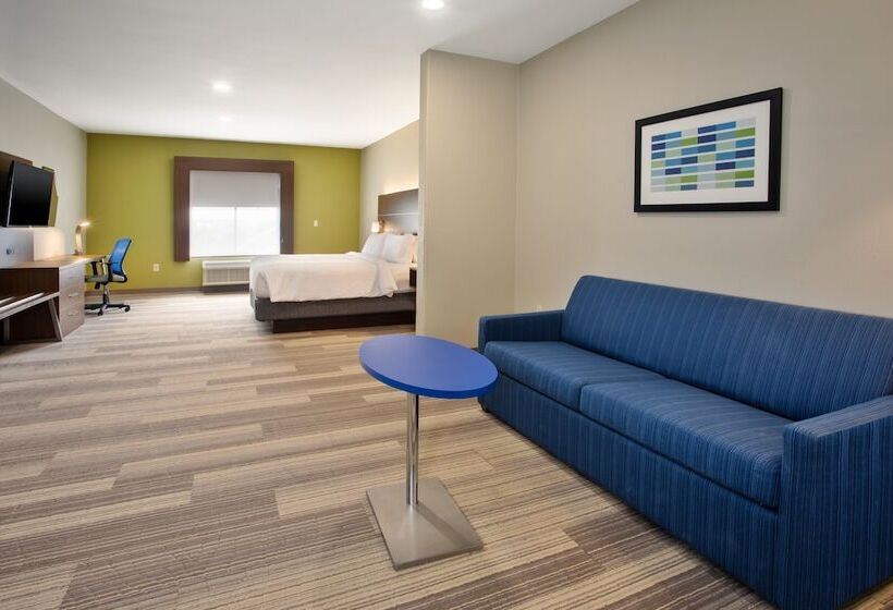 Suite, Holiday Inn Express  And Suites Katy