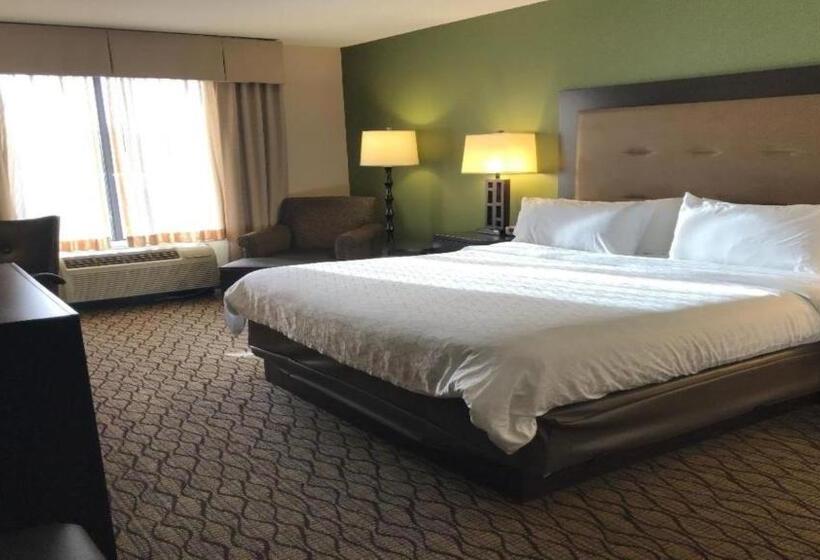 اتاق استاندارد با تخت بزرگ برای معلولان, Holiday Inn Express And Suites Winchester
