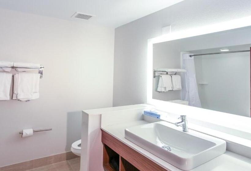 اتاق استاندارد با تخت بزرگ, Holiday Inn Express Daytona Beach   Speedway, An Ihg
