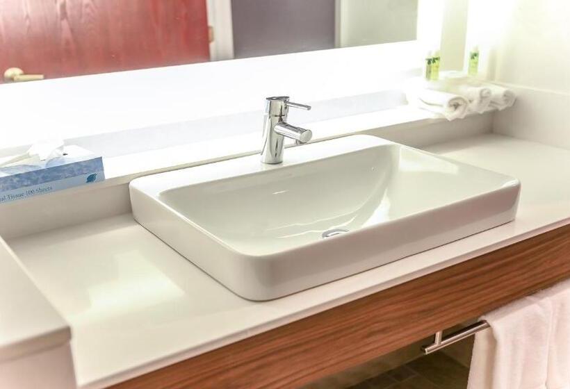 اتاق استاندارد با تخت بزرگ, Holiday Inn Express Daytona Beach   Speedway, An Ihg