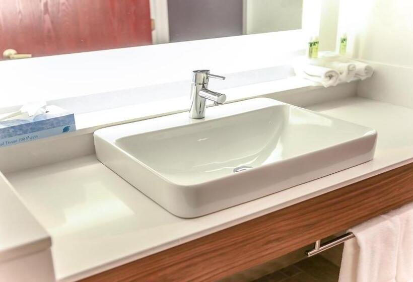 اتاق استاندارد با تخت بزرگ برای معلولان, Holiday Inn Express Daytona Beach   Speedway, An Ihg