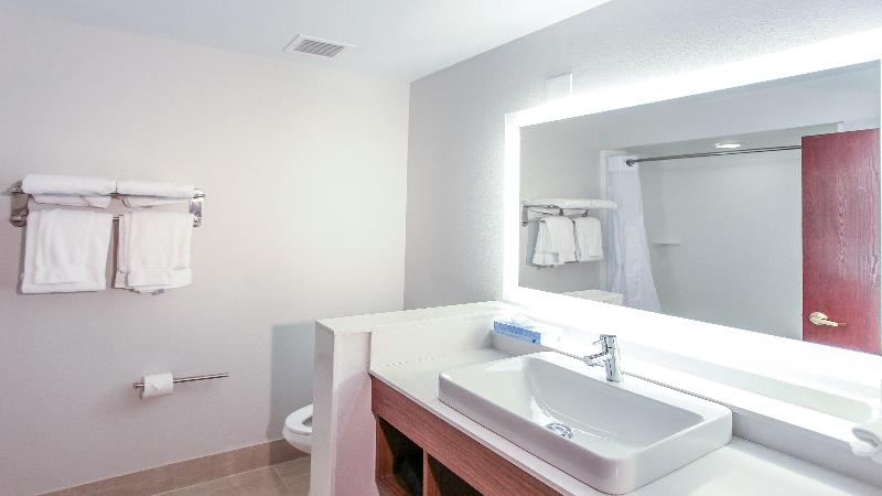 اتاق استاندارد با تخت بزرگ, Holiday Inn Express Daytona Beach   Speedway, An Ihg
