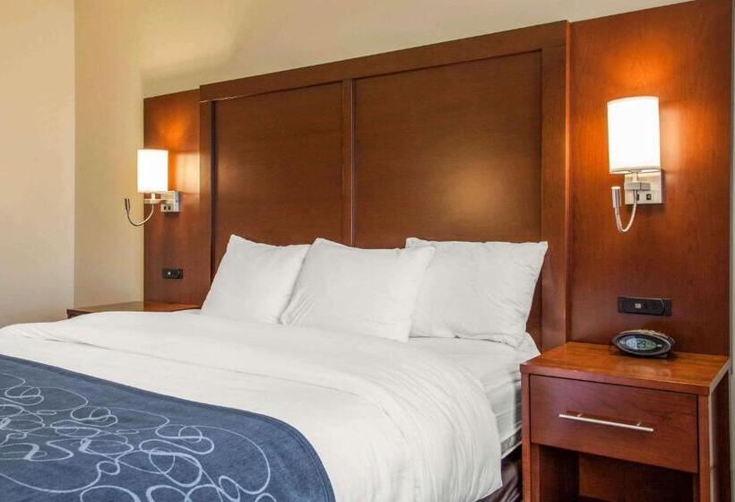 Chambre Standard Lit King Size Adaptée aux Personnes à Mobilité Réduite, Scottsdale