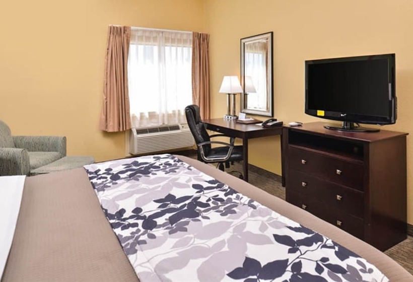 اتاق استاندارد با تخت دوبل برای معلولان, Sleep Inn And Suites Near Downtown North