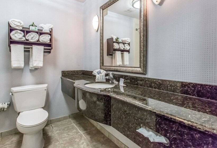 سوئیت برای معلولان, Sleep Inn & Suites West Medical Center