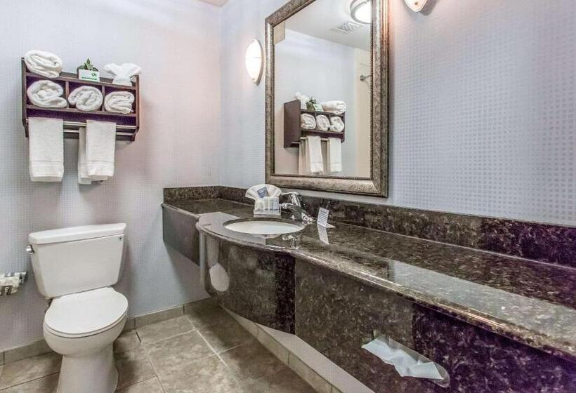 اتاق استاندارد, Sleep Inn & Suites West Medical Center