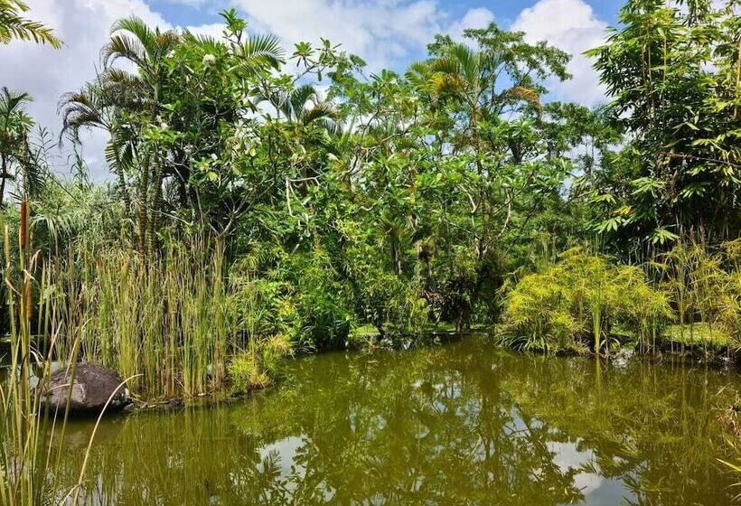 اتاق استاندارد با تخت دوبل و چشم‌انداز, Ayurvedagram Bali