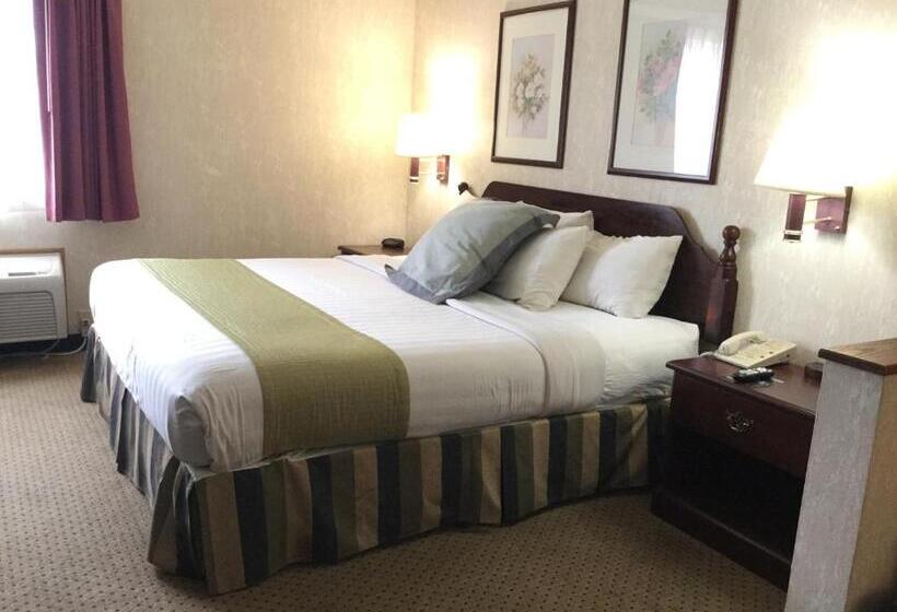 اتاق استاندارد با تخت بزرگ, Americas Best Value Inn & Suites St. Louis, St. Charles Inn