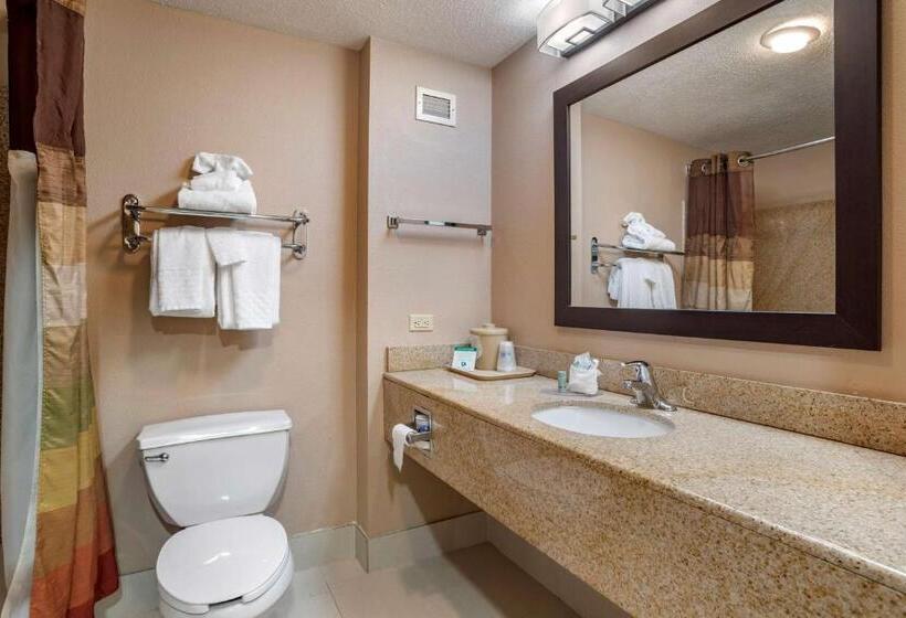 اتاق استاندارد با تخت بزرگ برای معلولان, Best Western Chesapeake Bay North Inn